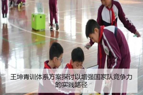 王坤青训体系方案探讨以增强国家队竞争力的实践路径